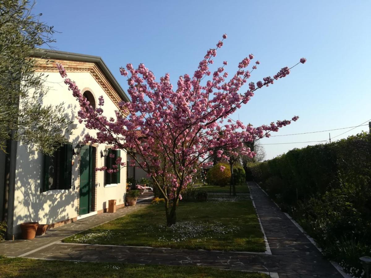 Double Room with Garden View,1050809191:JPEG