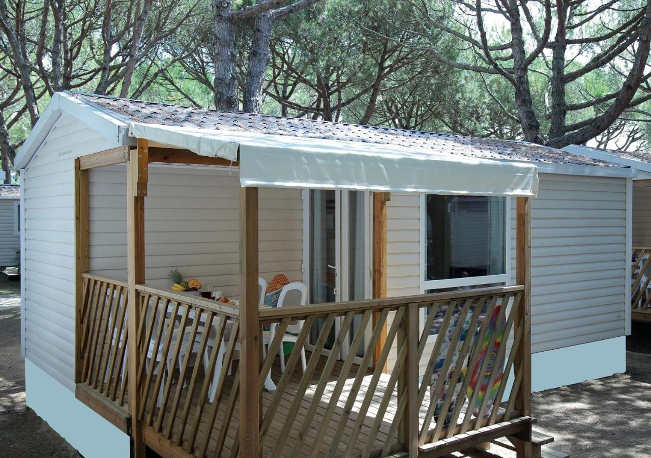 Mobile Home