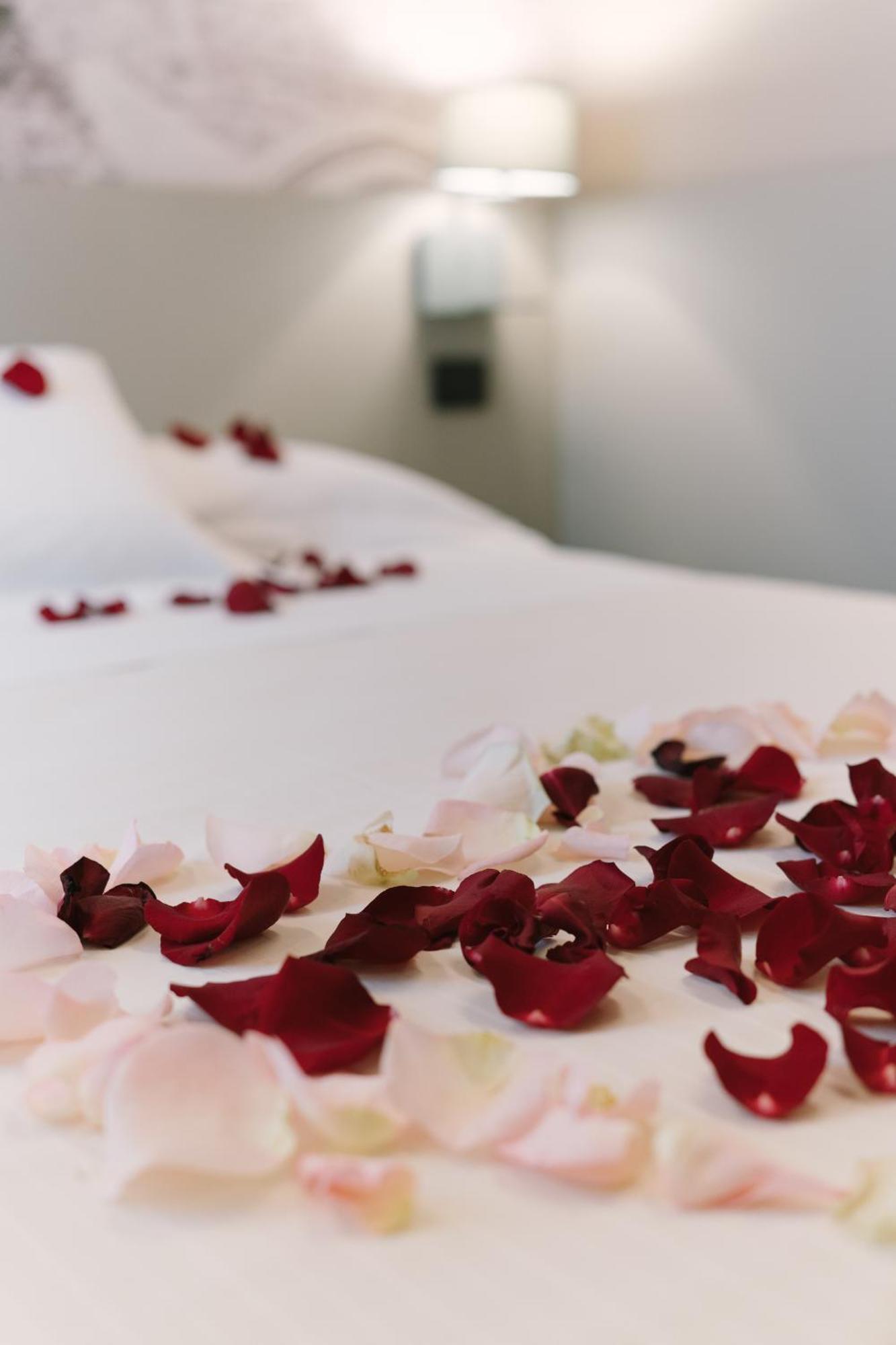 Double or Twin Room,1216052251:JPEG