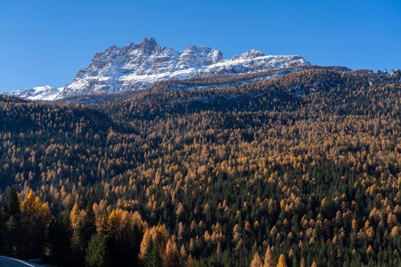 Suite with Mountain View