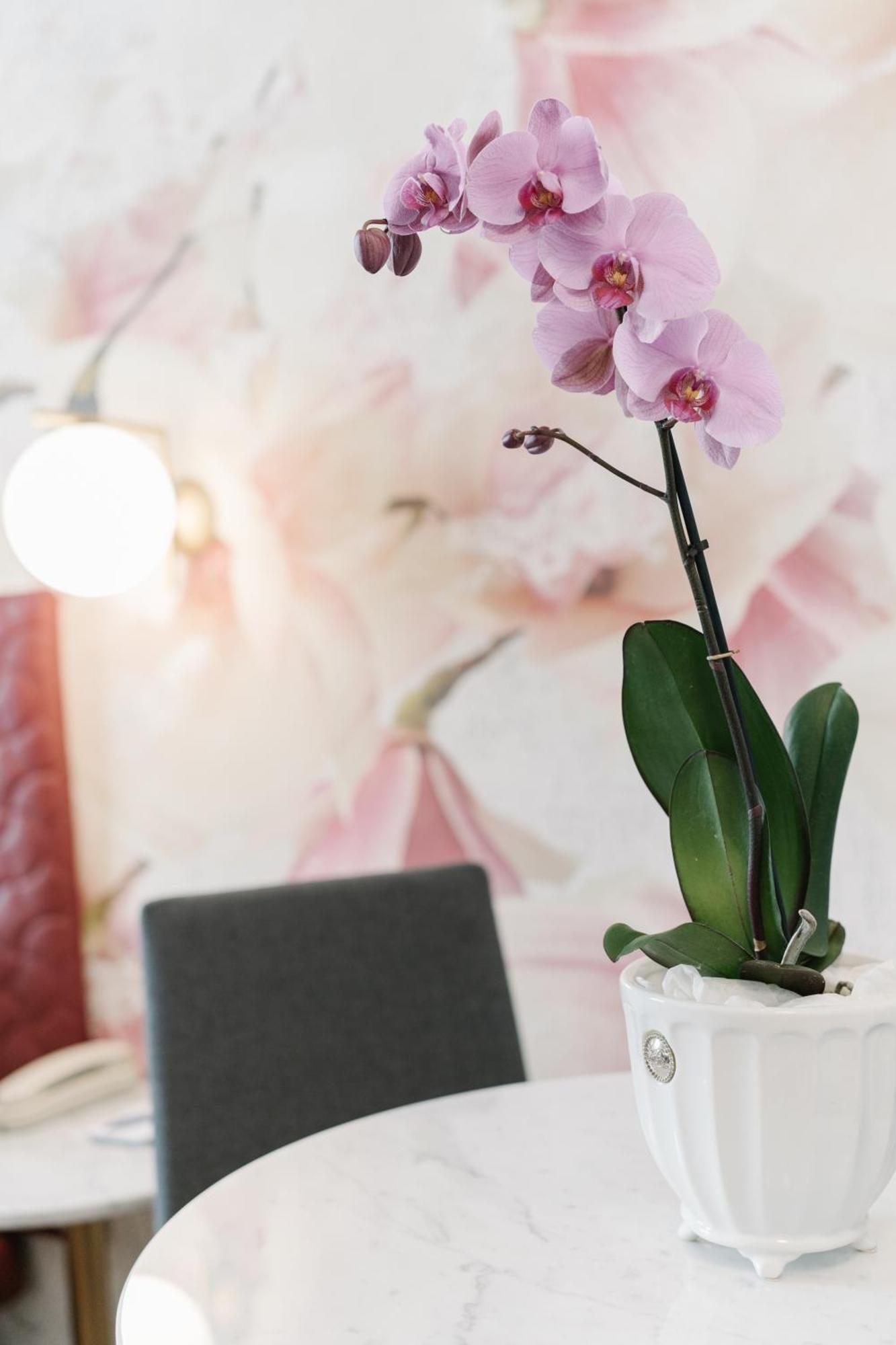 Suite with Terrace,1279614166:JPEG