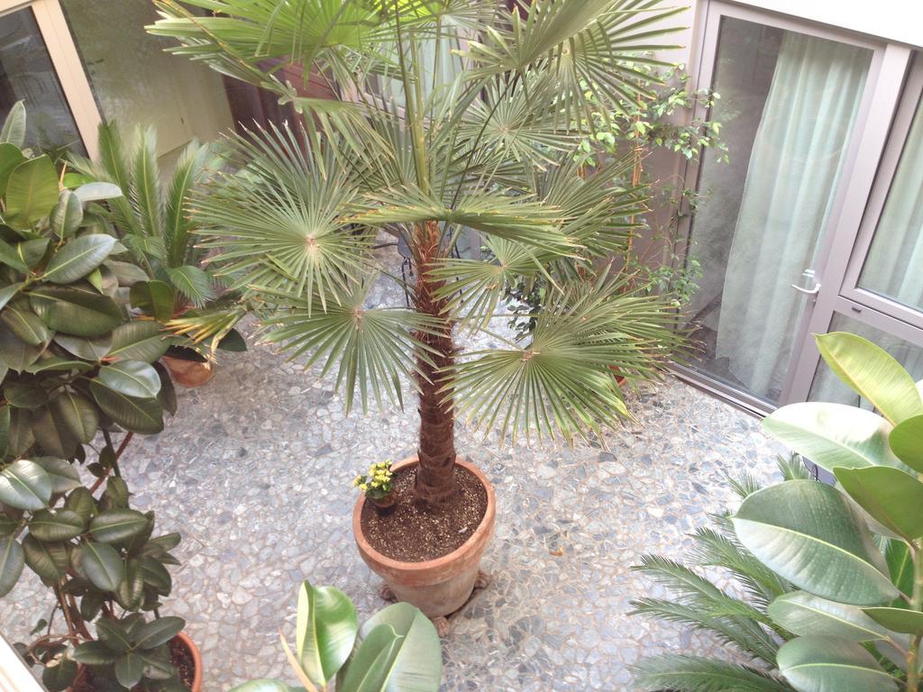 Deluxe Double Room,153455251:JPEG