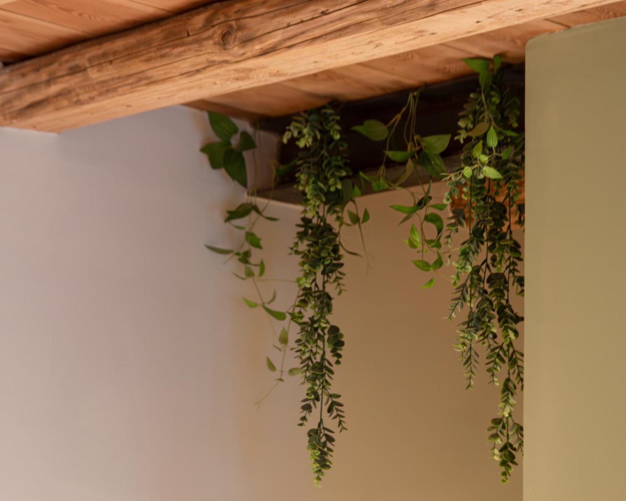 Double Room,1627975251:JPEG