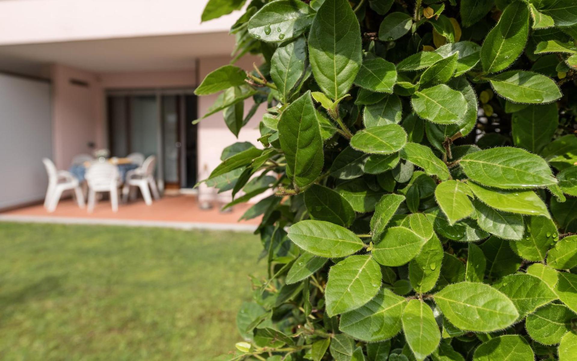 One-Bedroom Apartment with Garden (5 Adults),1634423643:JPEG