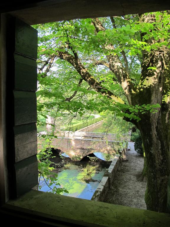 Doppel-/Zweibettzimmer mit Gartenblick
