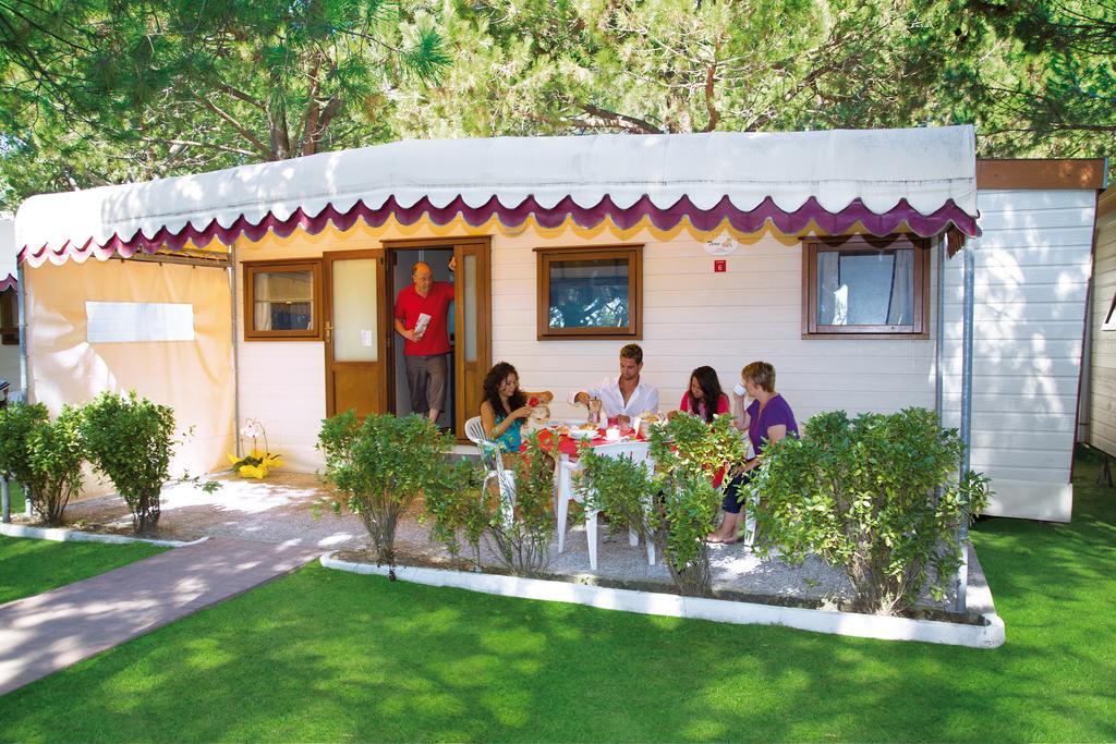 Luxury Mobile Home Beach,381482302:JPEG