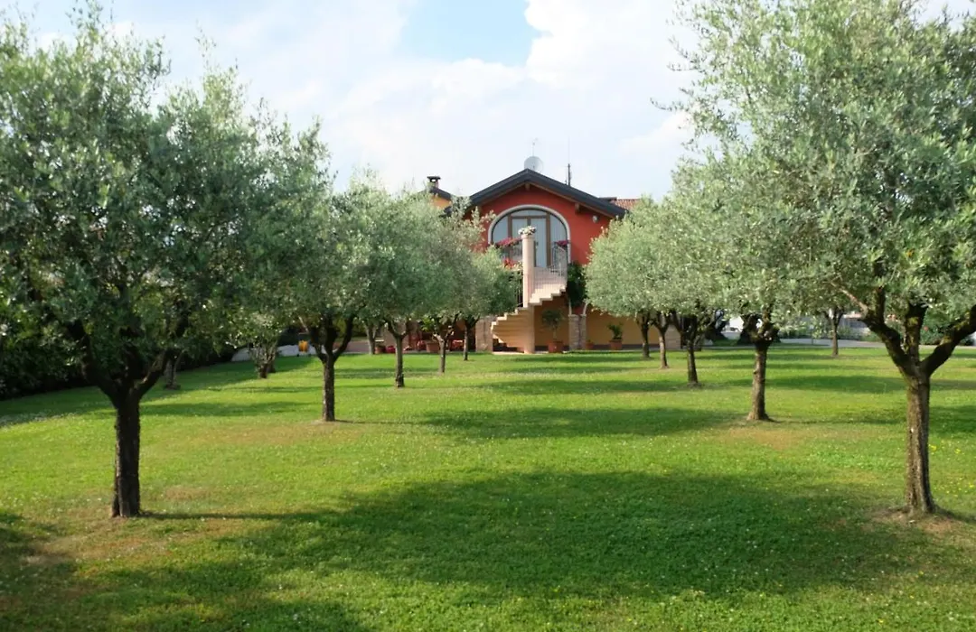 B&B agli Ulivi-1