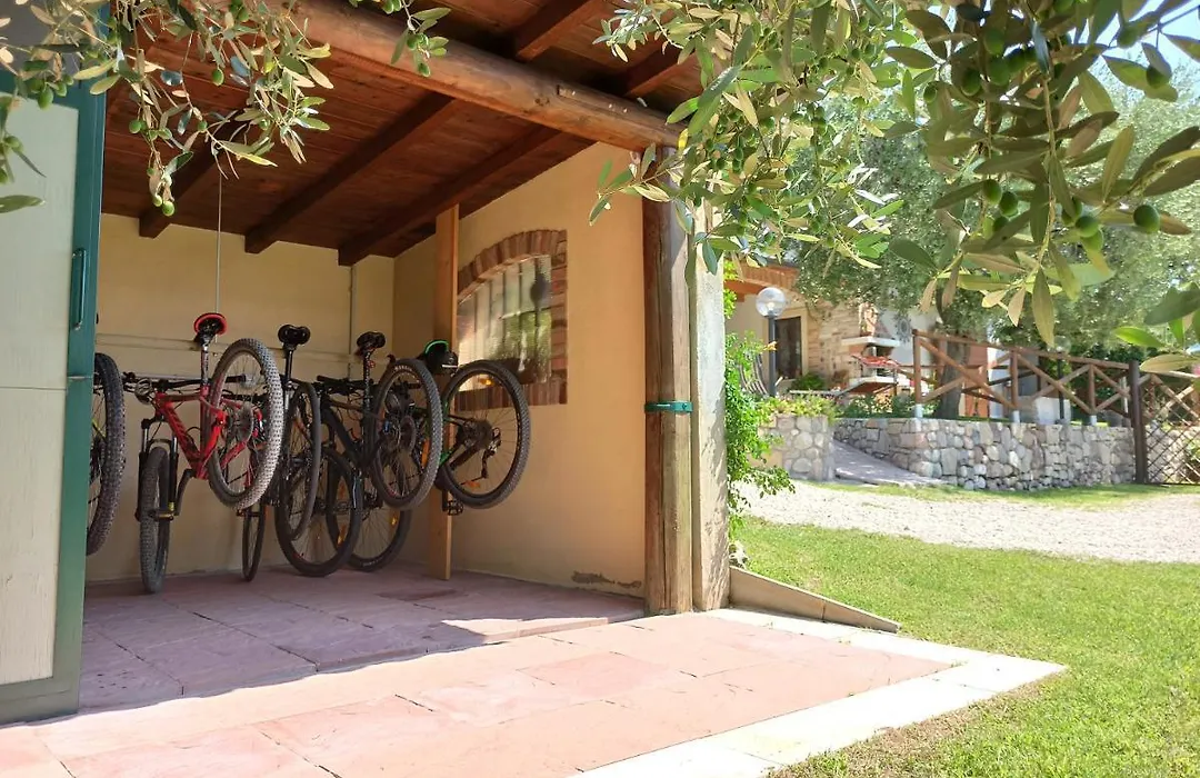 Le Zampolle B & B-1
