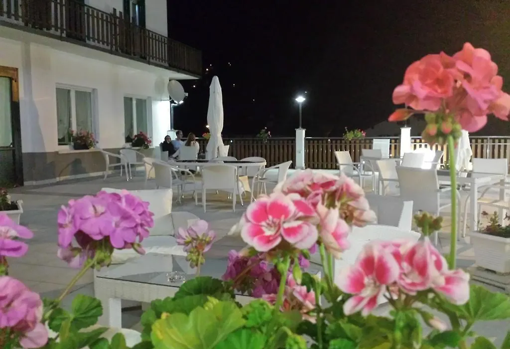 Hotel Pineta-1