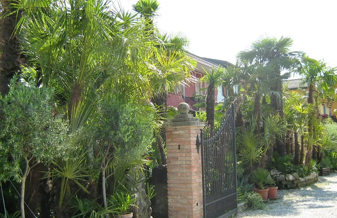 B&B Le Palme D'Oro-1