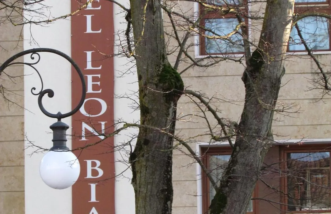 Hotel Leon Bianco-1