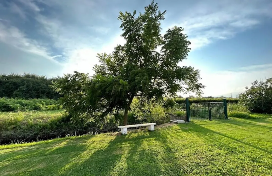 B&B Da Rosy-1
