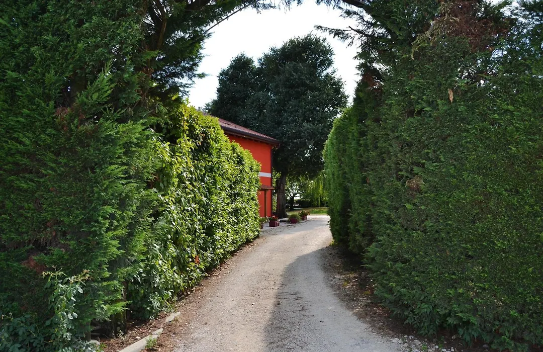 Agriturismo Ca' La Pergola-1