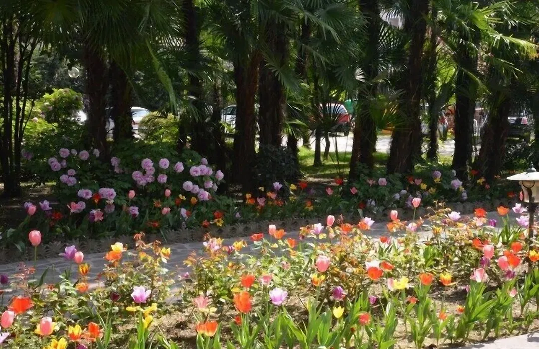 Hotel Terme Villa Piave-1