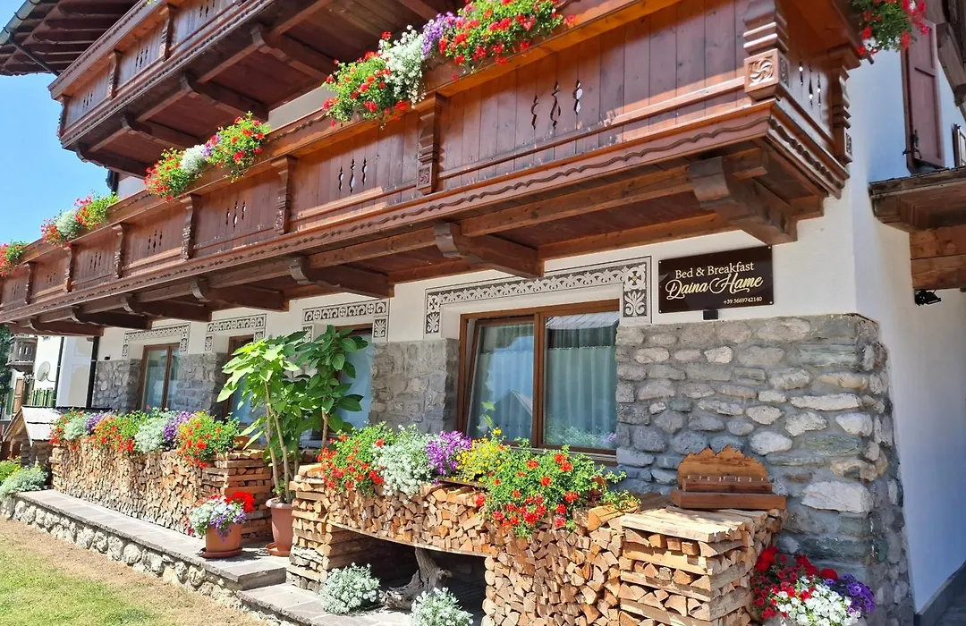 B&B Daina Hame-1
