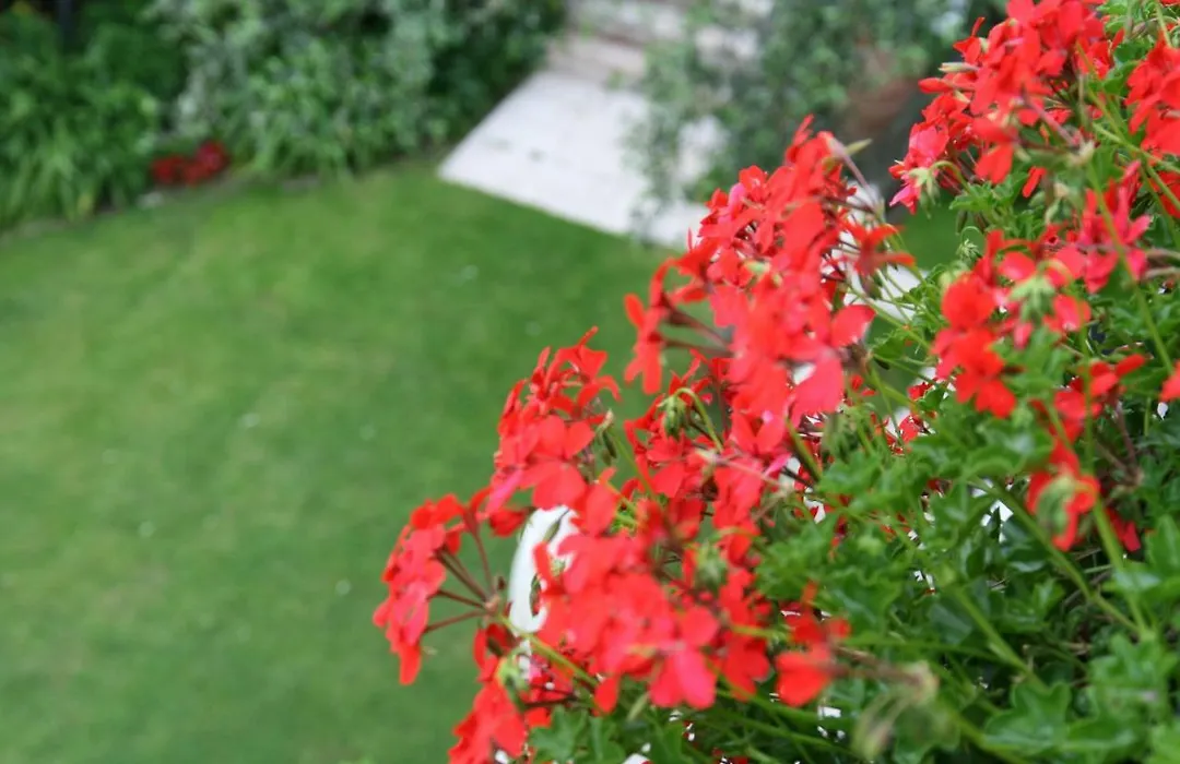 Hotel Villa Nadia-1