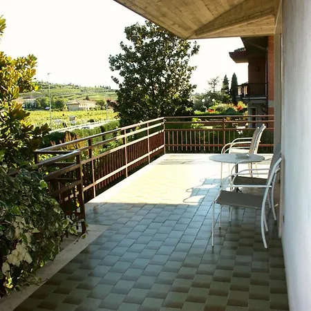 Grappoli Della Valpolicella-2