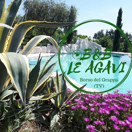B&B Le Agavi-2