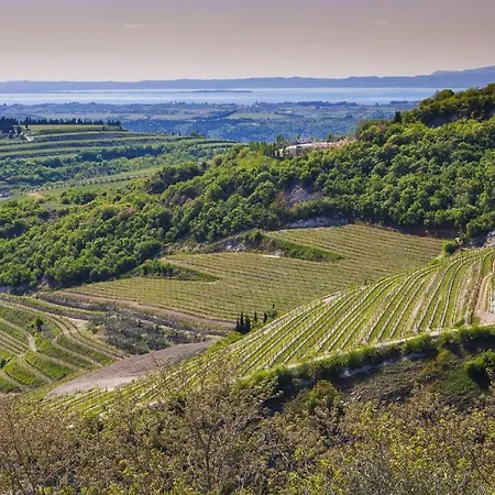 La Grande Casa Valpolicella-2