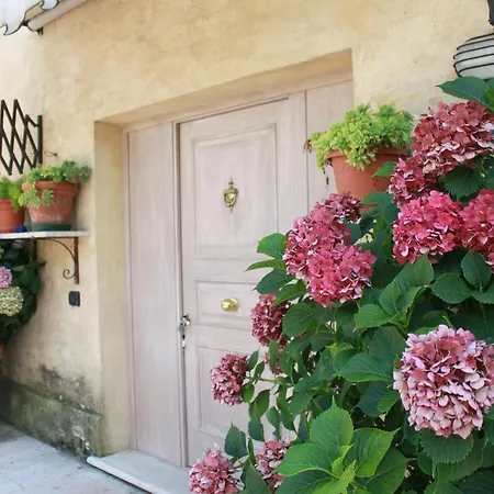 Guest House La Marignana-2