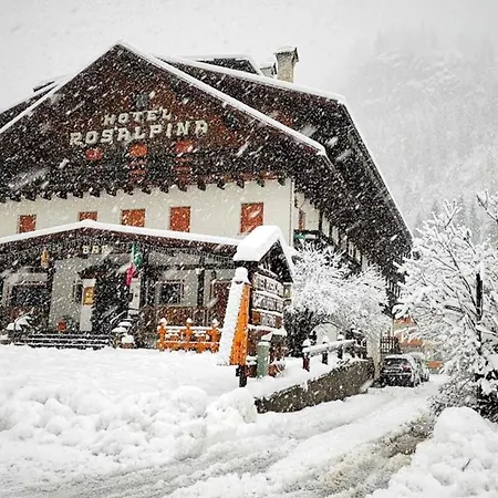 Hotel Rosalpina-2