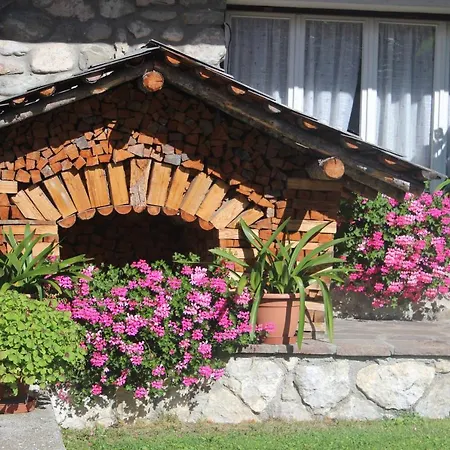 B&B Daina Hame-2