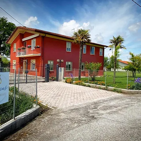 Cygnus Bed & Breakfast-2