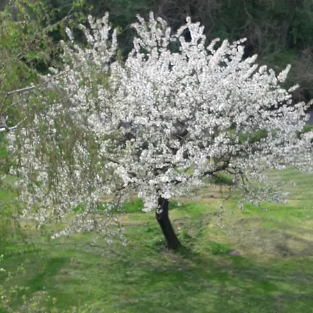 Il Borgo dei Molini-2
