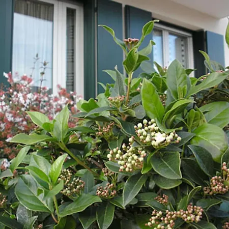 Casa di Clara-2
