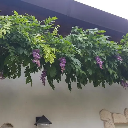 Casa Yami-3