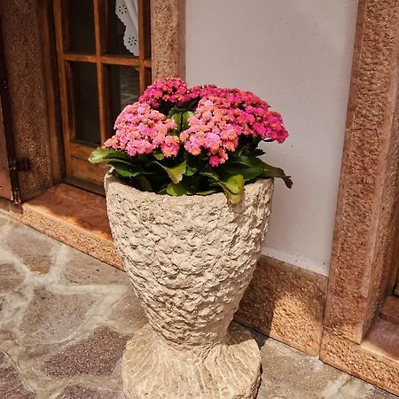 Ad Sidera-3