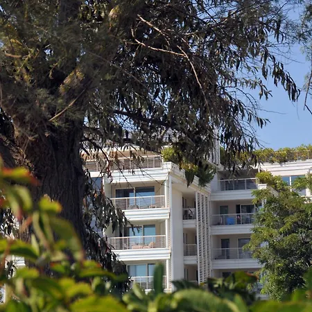 Marina Verde Resort Official-3