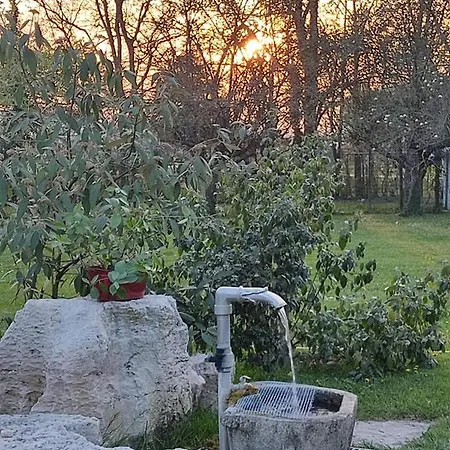 B&B Villa Elisa-3