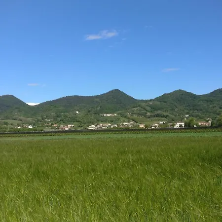 Oleaclub Locazione Turistica-3