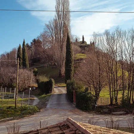 La Vigna di Sarah-2