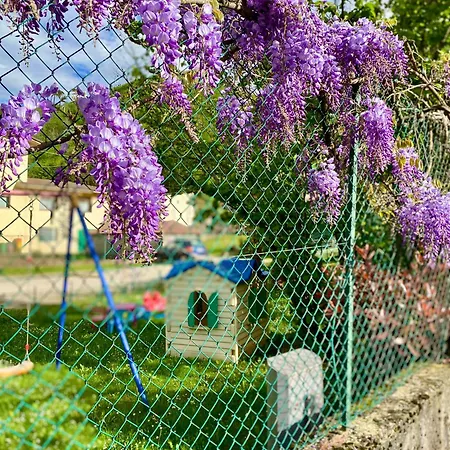 Ca' Del Diaolo-2
