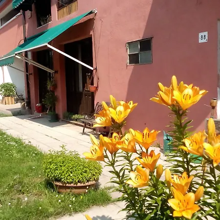 Ecogarden-3