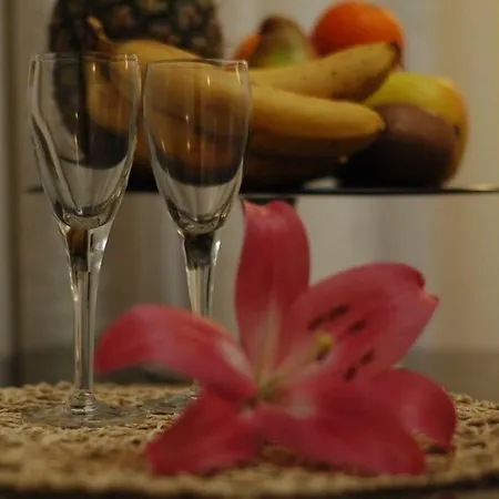 B&B Nelly-2