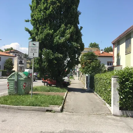 Ever Green-3