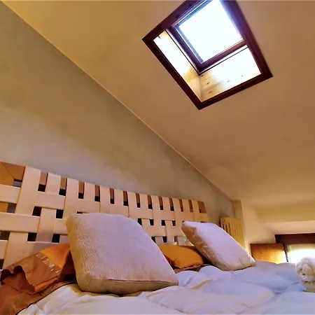 Dreaming Arena Rooms-3