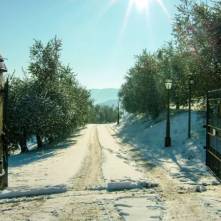 Locanda degli Ulivi-2