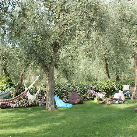 Hotel Garni Orchidea-3
