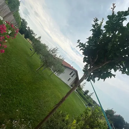 Il Fiore del lago-2