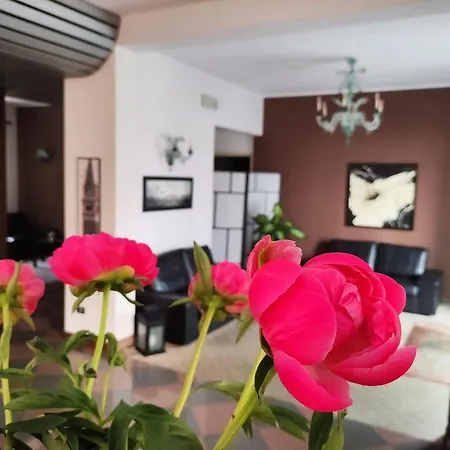 Hotel Adria-2