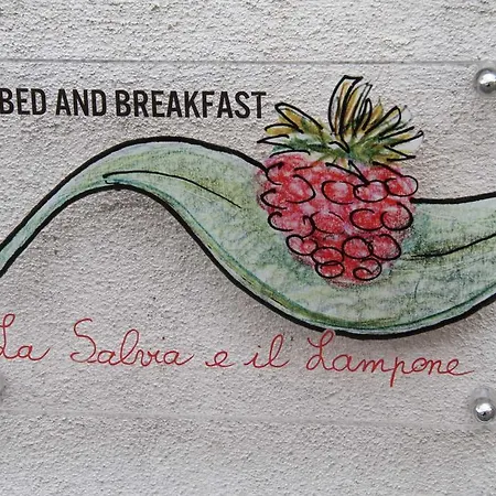 La Salvia e Il Lampone-3