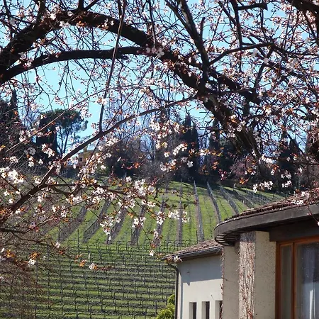 Sporting Hotel Ragno D'oro-2
