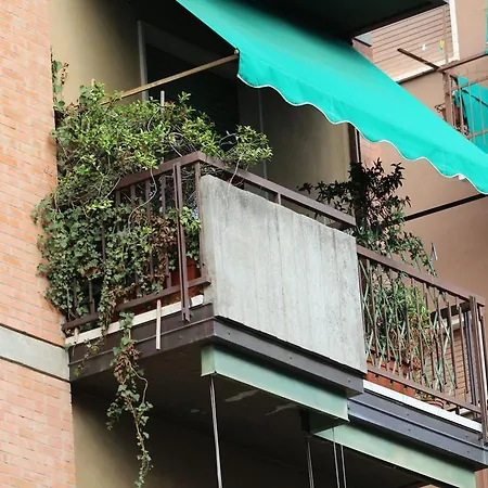 Il Lori Di Alessandra-3