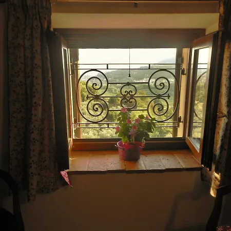 B&B Paradiso-2