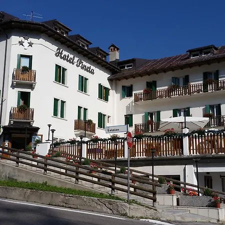 Hotel Pineta-2
