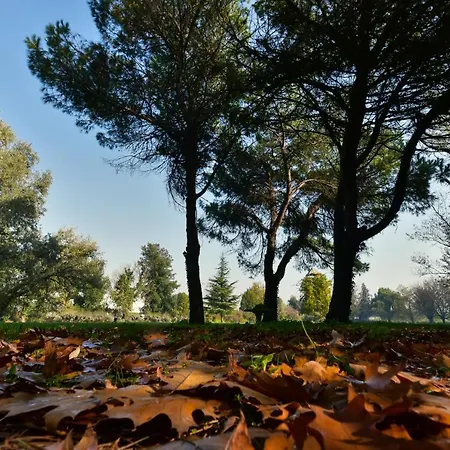 Villa Carrer-2